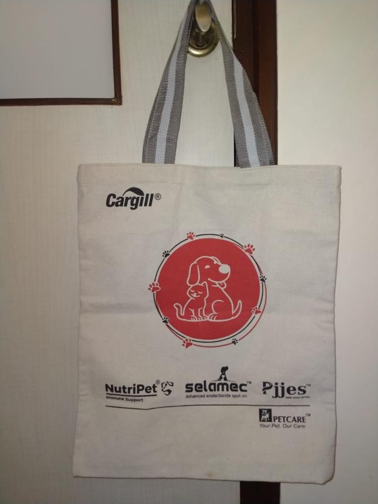 Everyday Canvas Cotton Tote